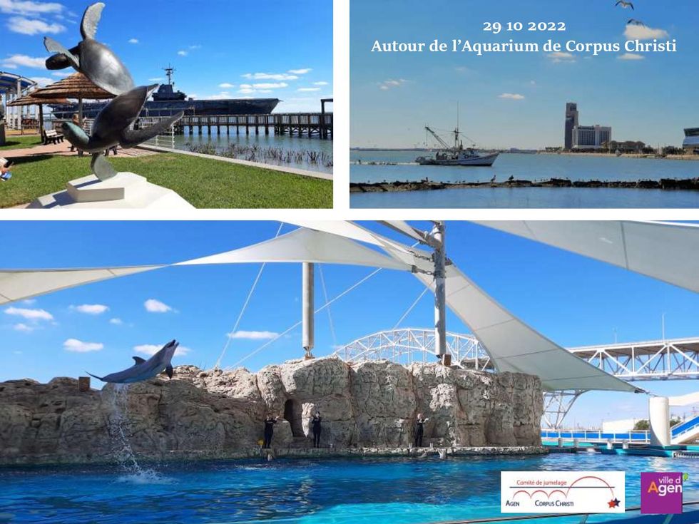 221026_accueil_agen_cc04